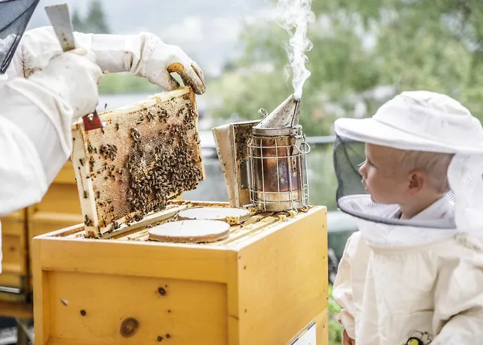 فندق Pop-up Living Zell Am 4*