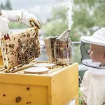 Отель Pop-up Living Zell Am 4*